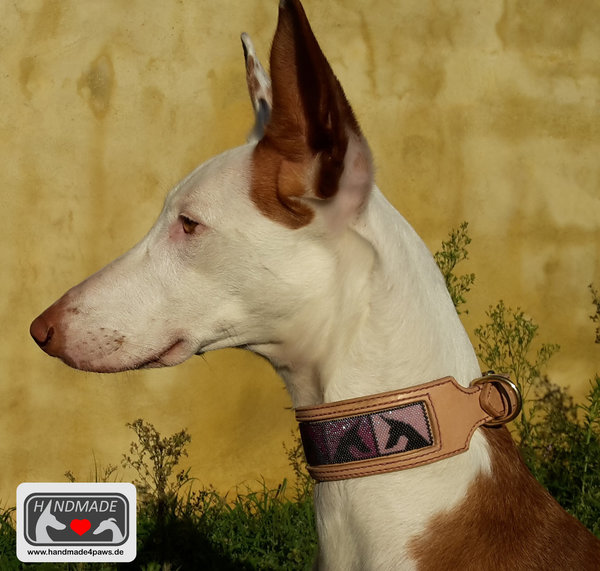 Leder Halsband mit Hunde-Motiven verschiedene Hunderassen