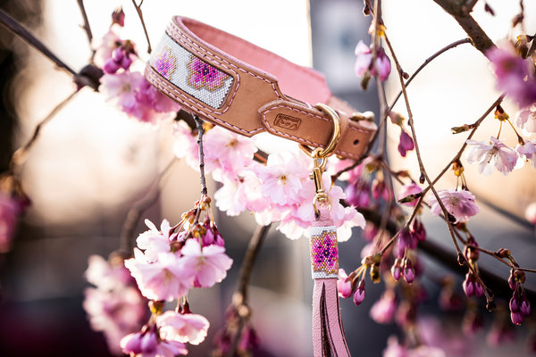 Leder Halsband mit Perleninlay 4,5 cm breit Kirschblüte cherry blossom