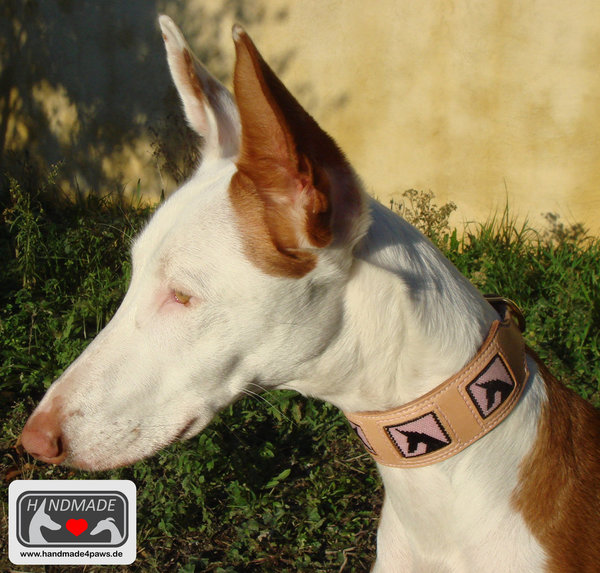 Leder Halsband mit quadratischen Hunde-Motiven verschiedene Rassen